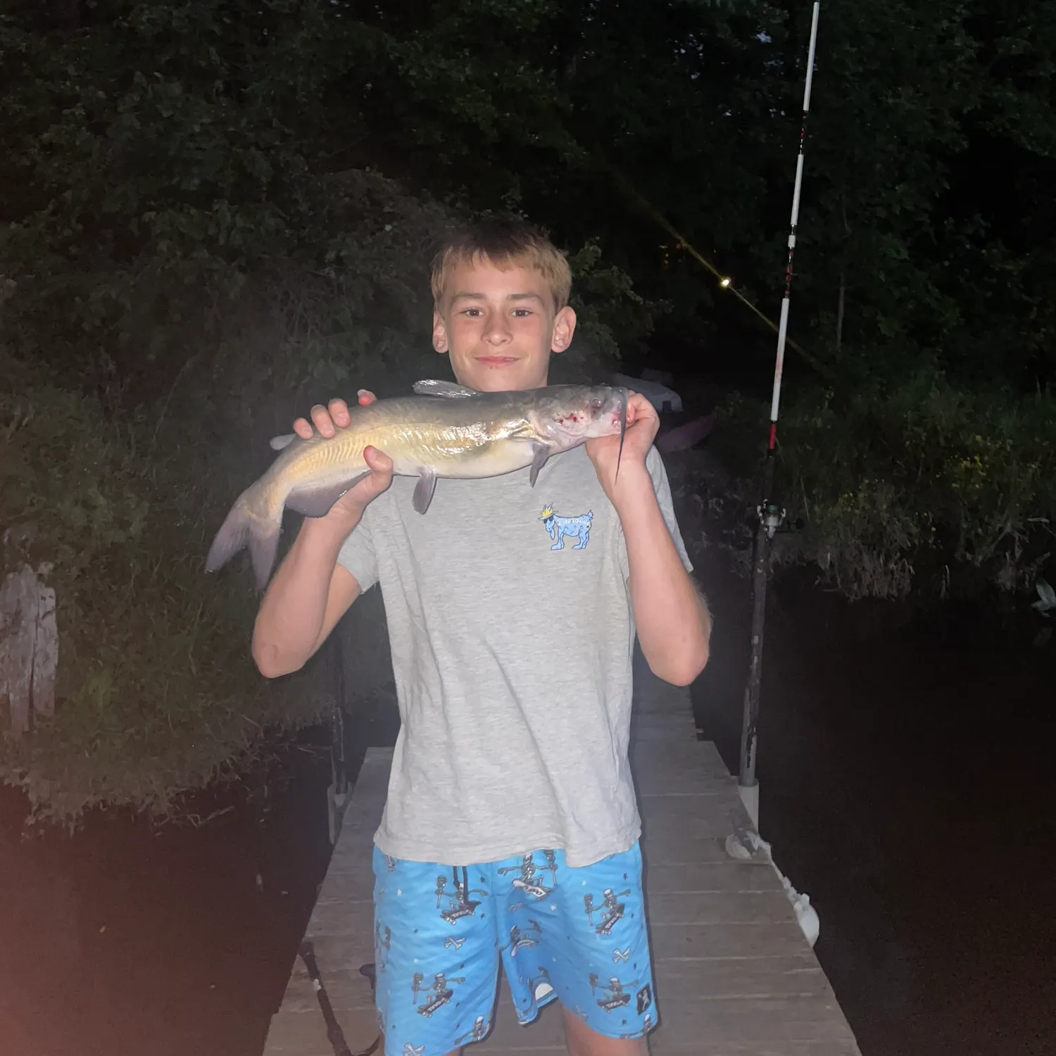 Channel catfish caught on Fishbrain