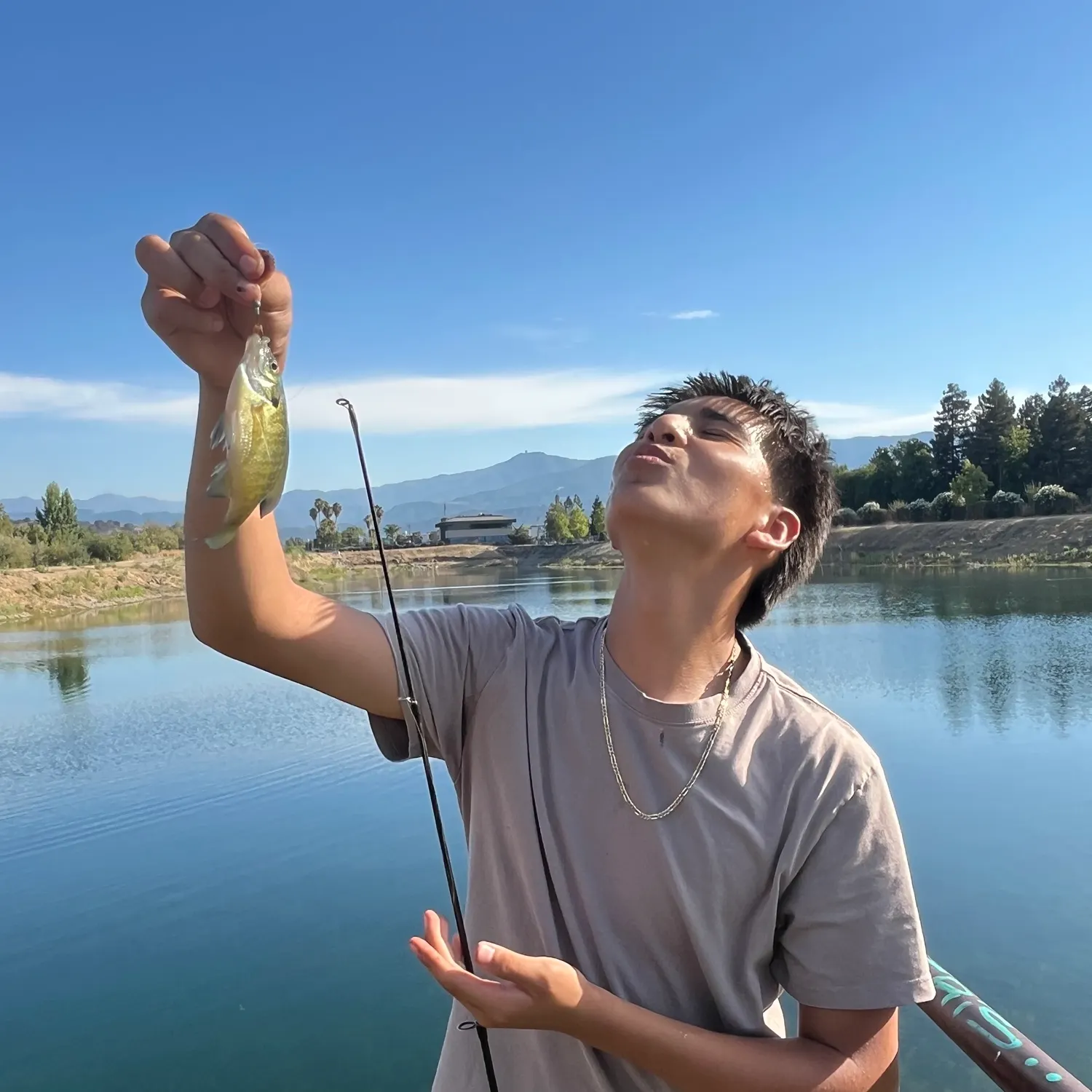 Bluegill caught on Fishbrain