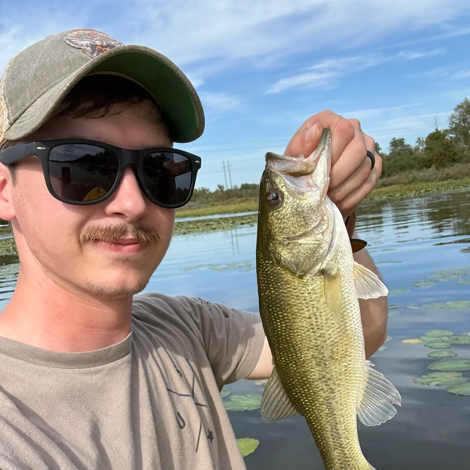Largemouth bass caught on Fishbrain