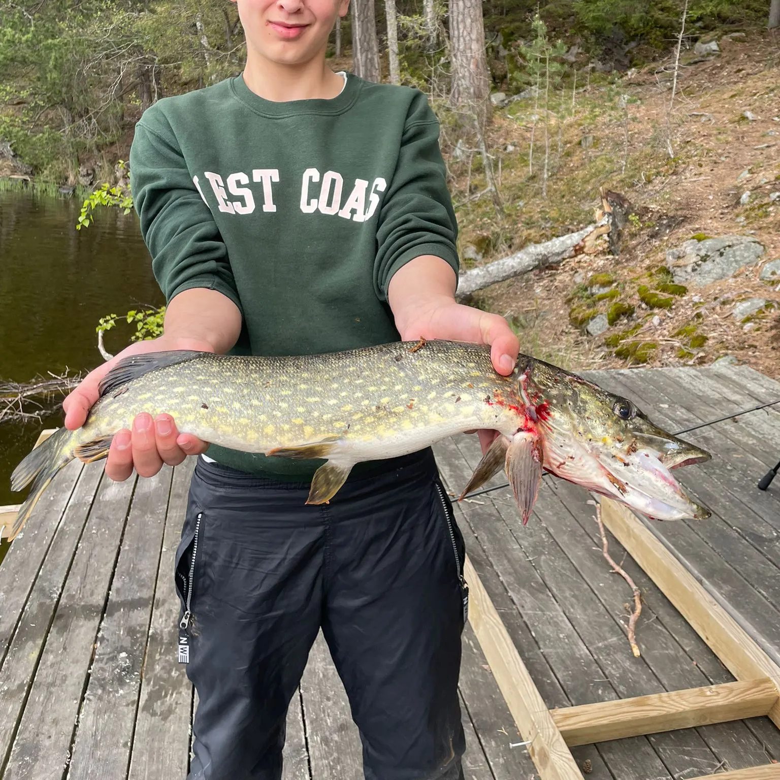 recently logged catches