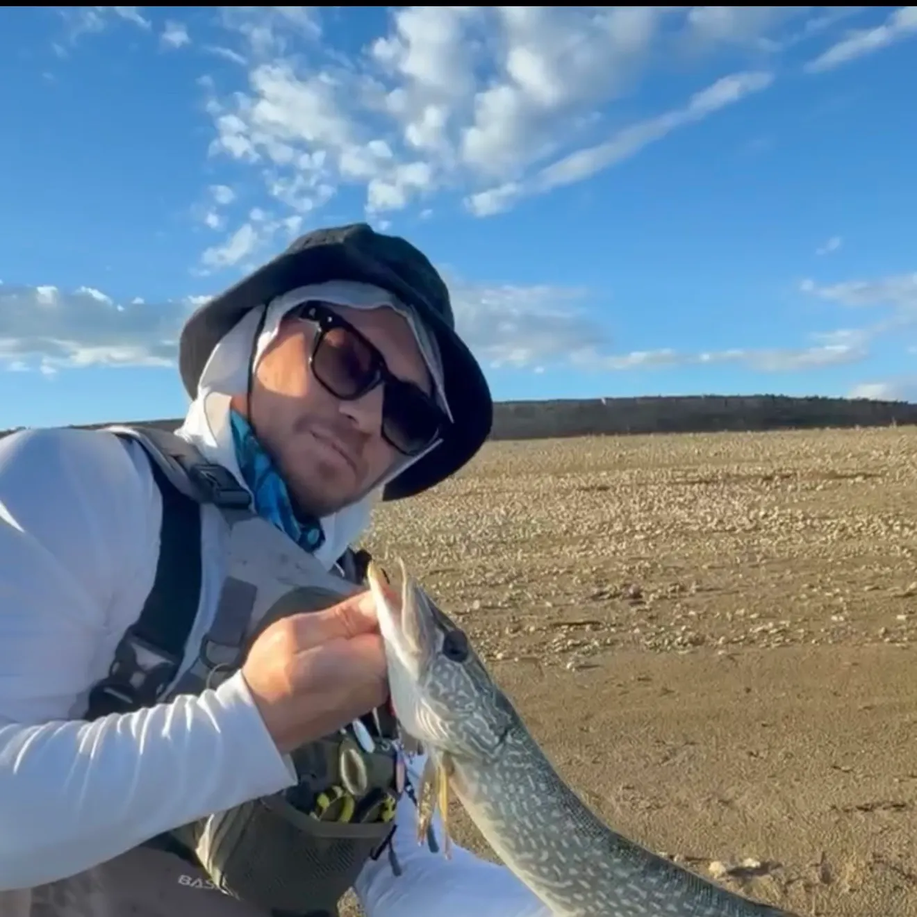 Northern pike caught on Fishbrain