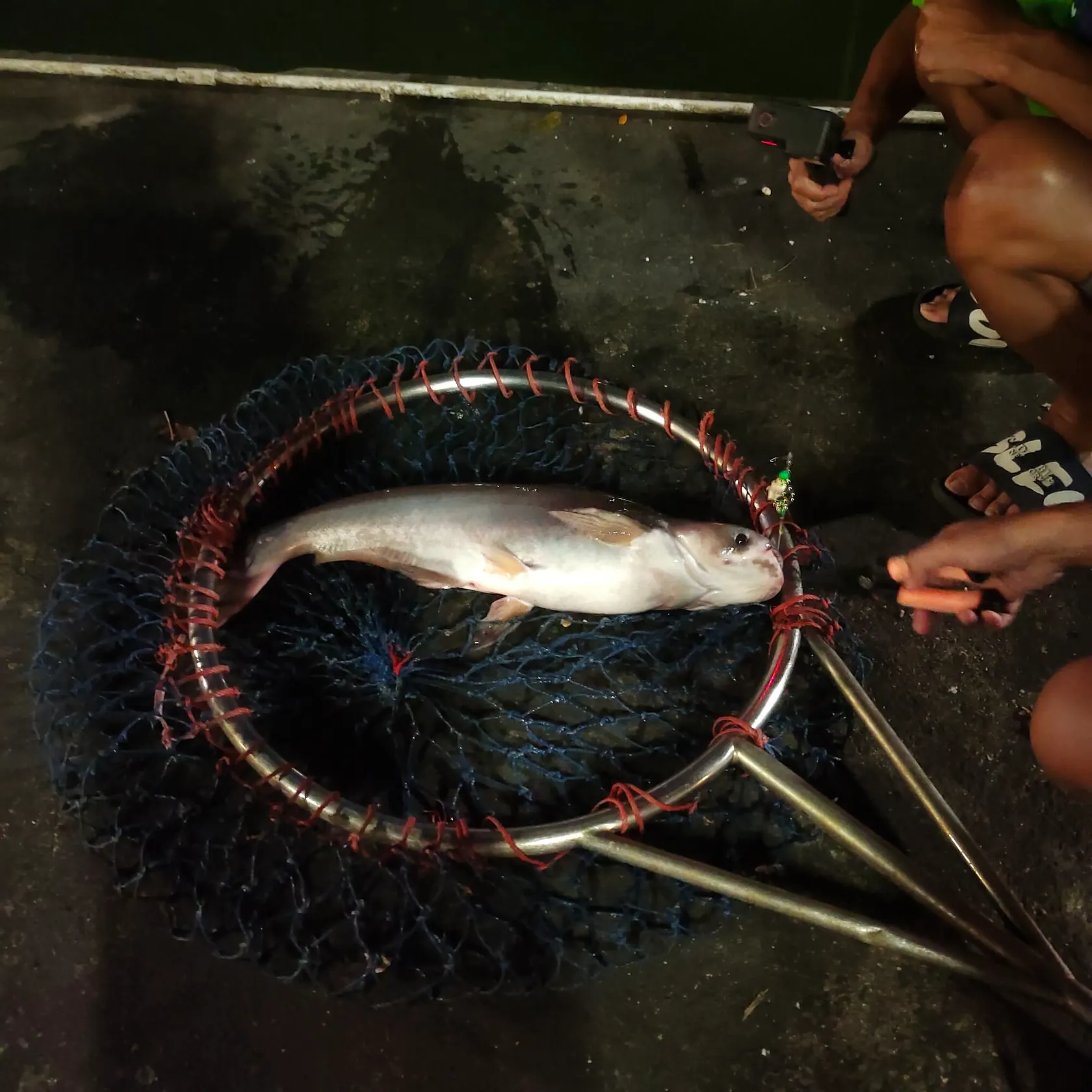most liked catch image