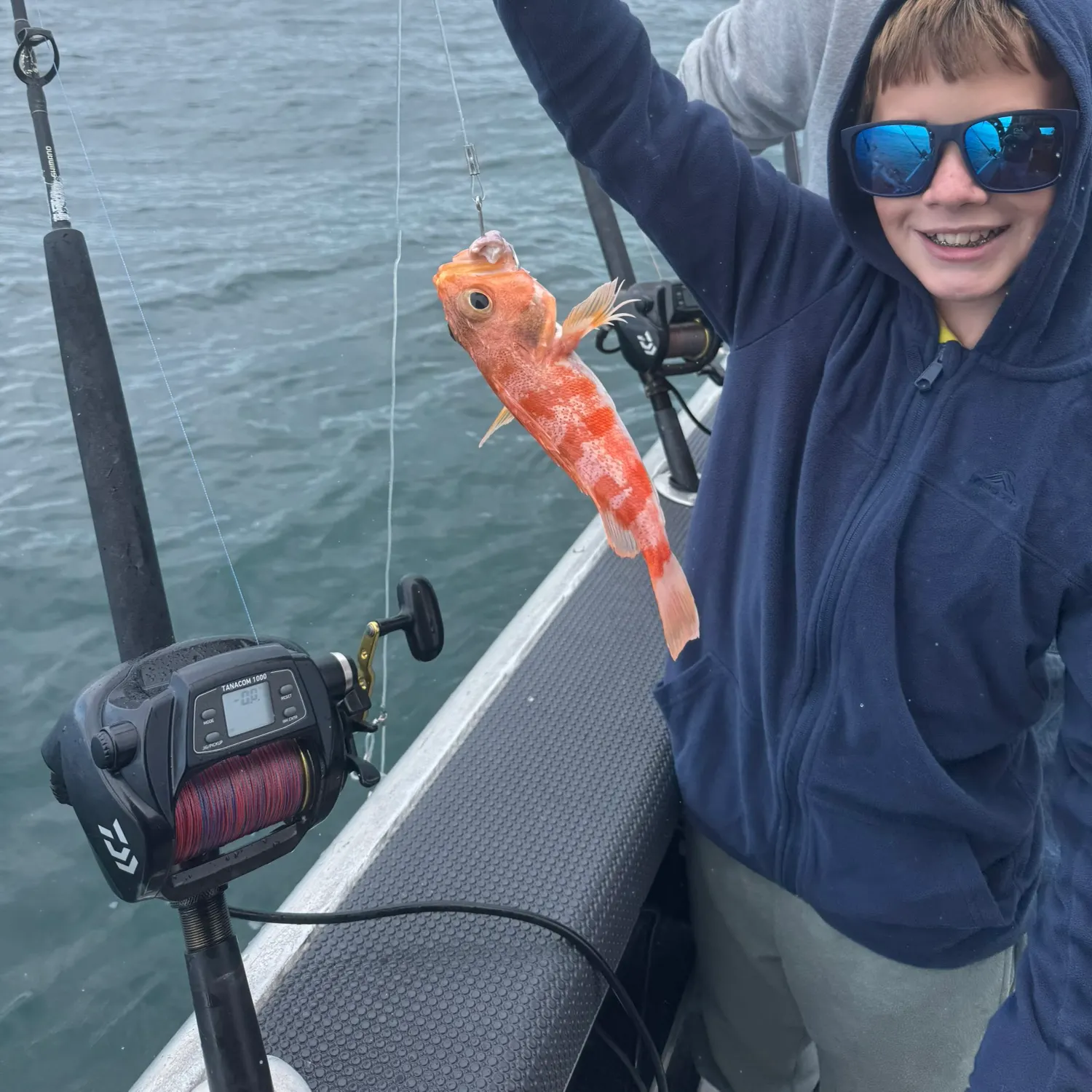 The most recent Atlantic ocean perch catches on Fishbrain