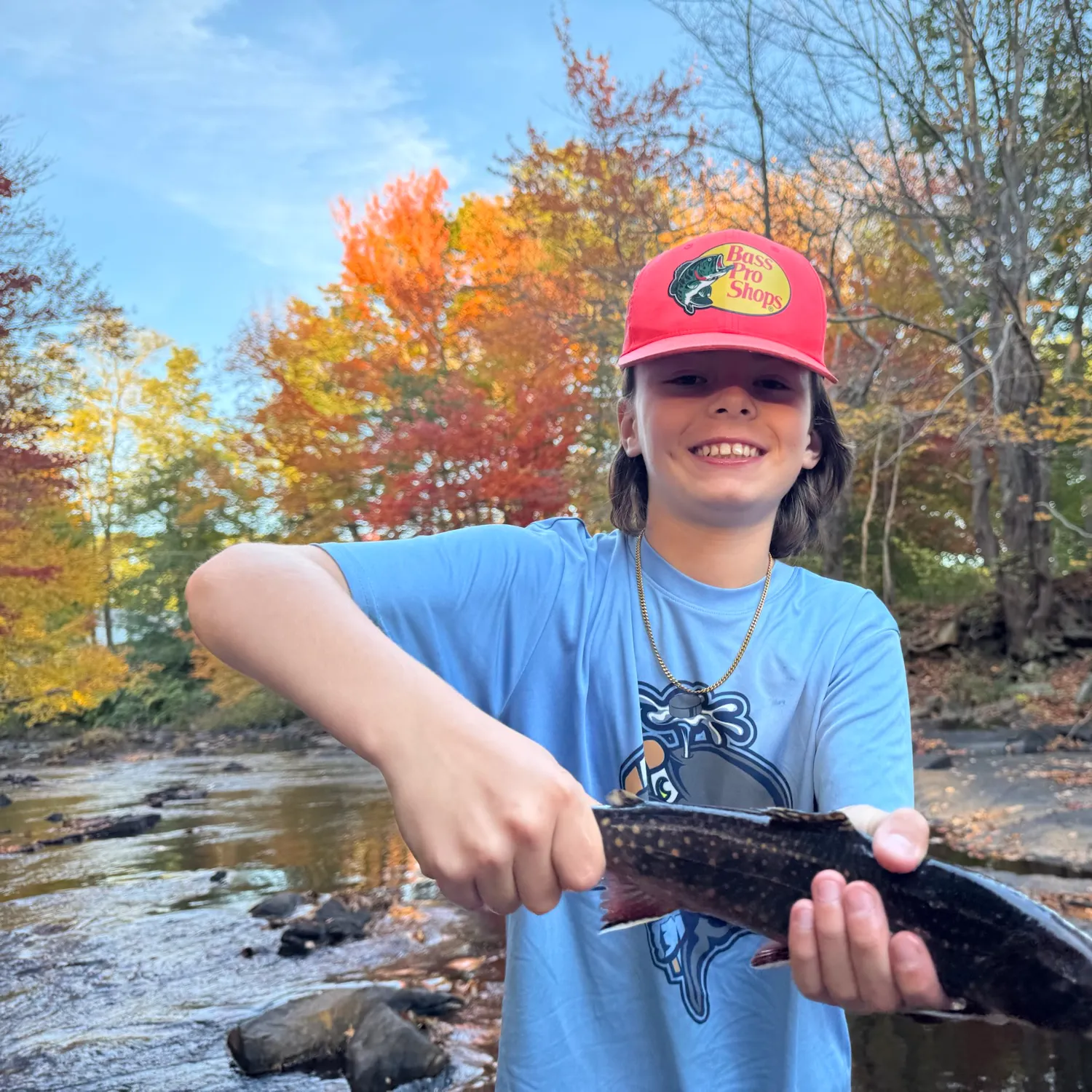 Brook trout caught on Fishbrain