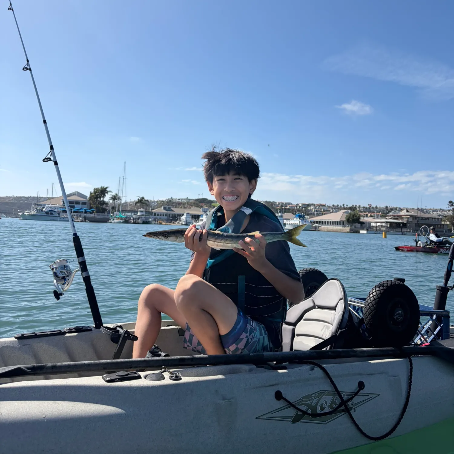 The most recent Pacific barracuda catches on Fishbrain