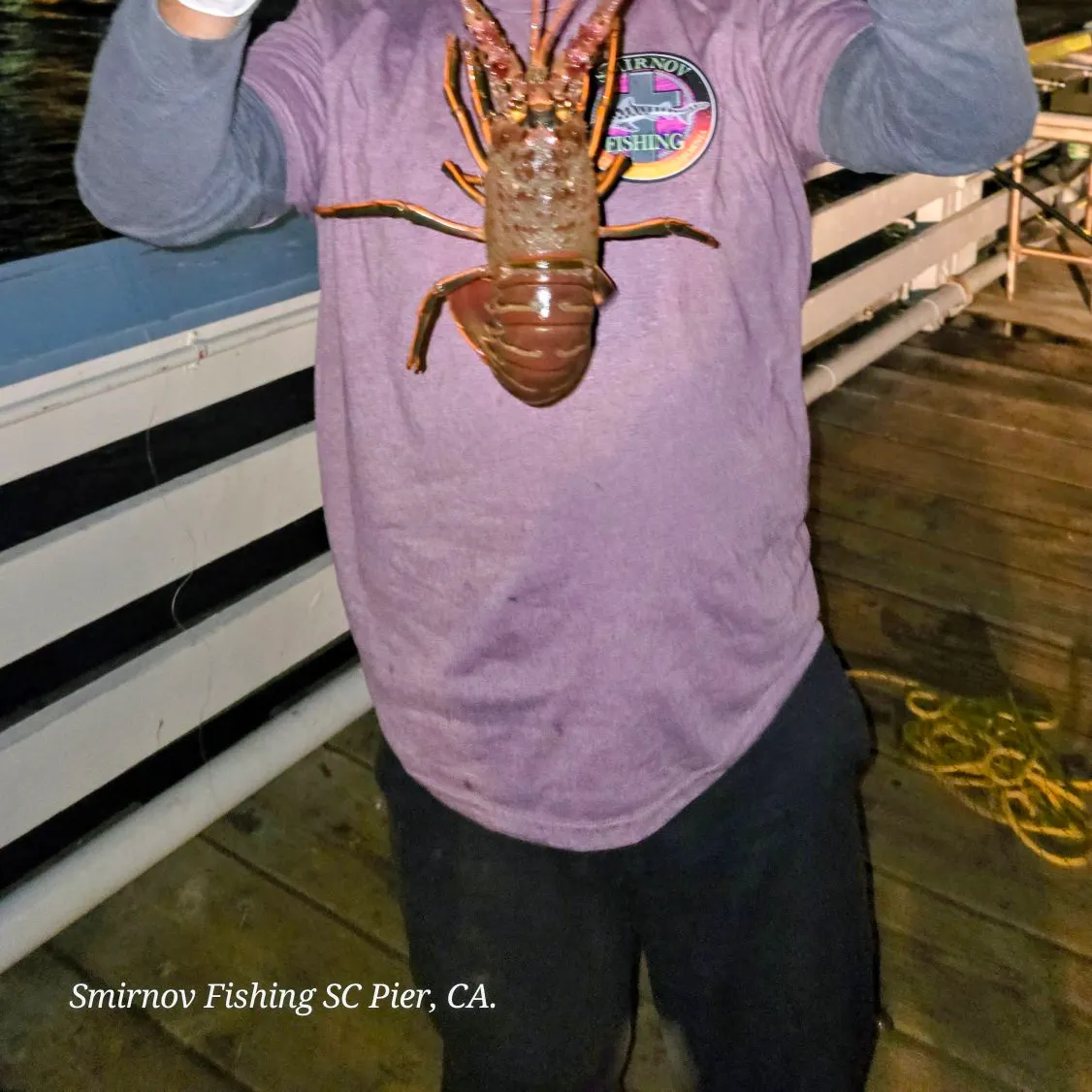 California spiny lobster caught on Fishbrain