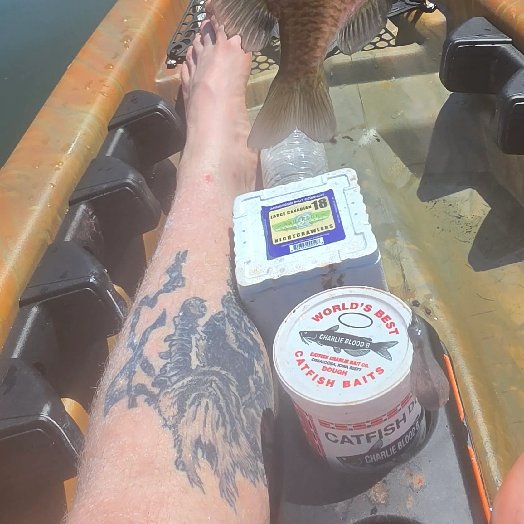 recently logged catches