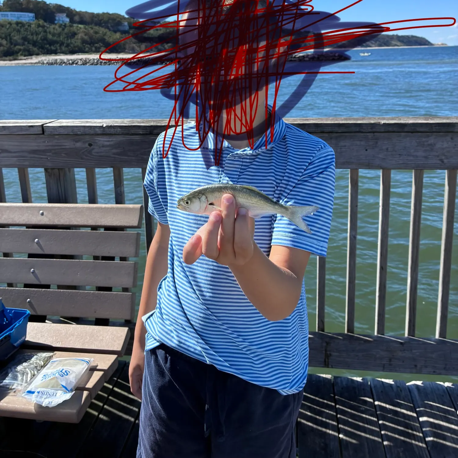 Bluefish caught on Fishbrain