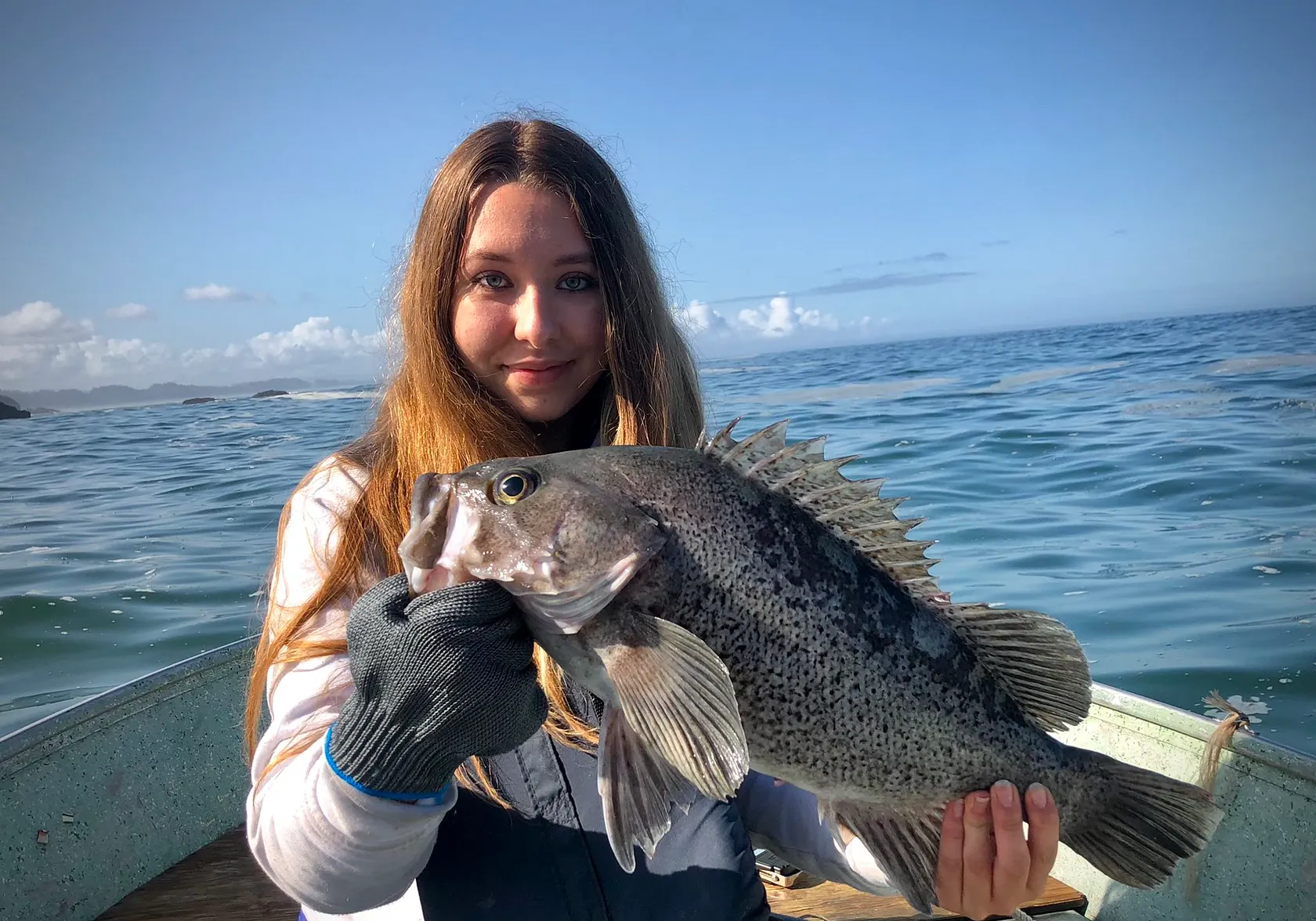 Black rockfish