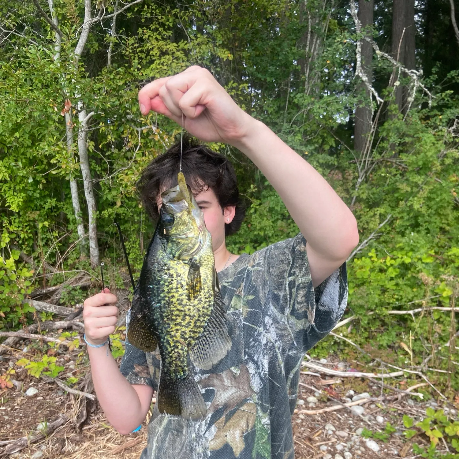 Black crappie caught on Fishbrain