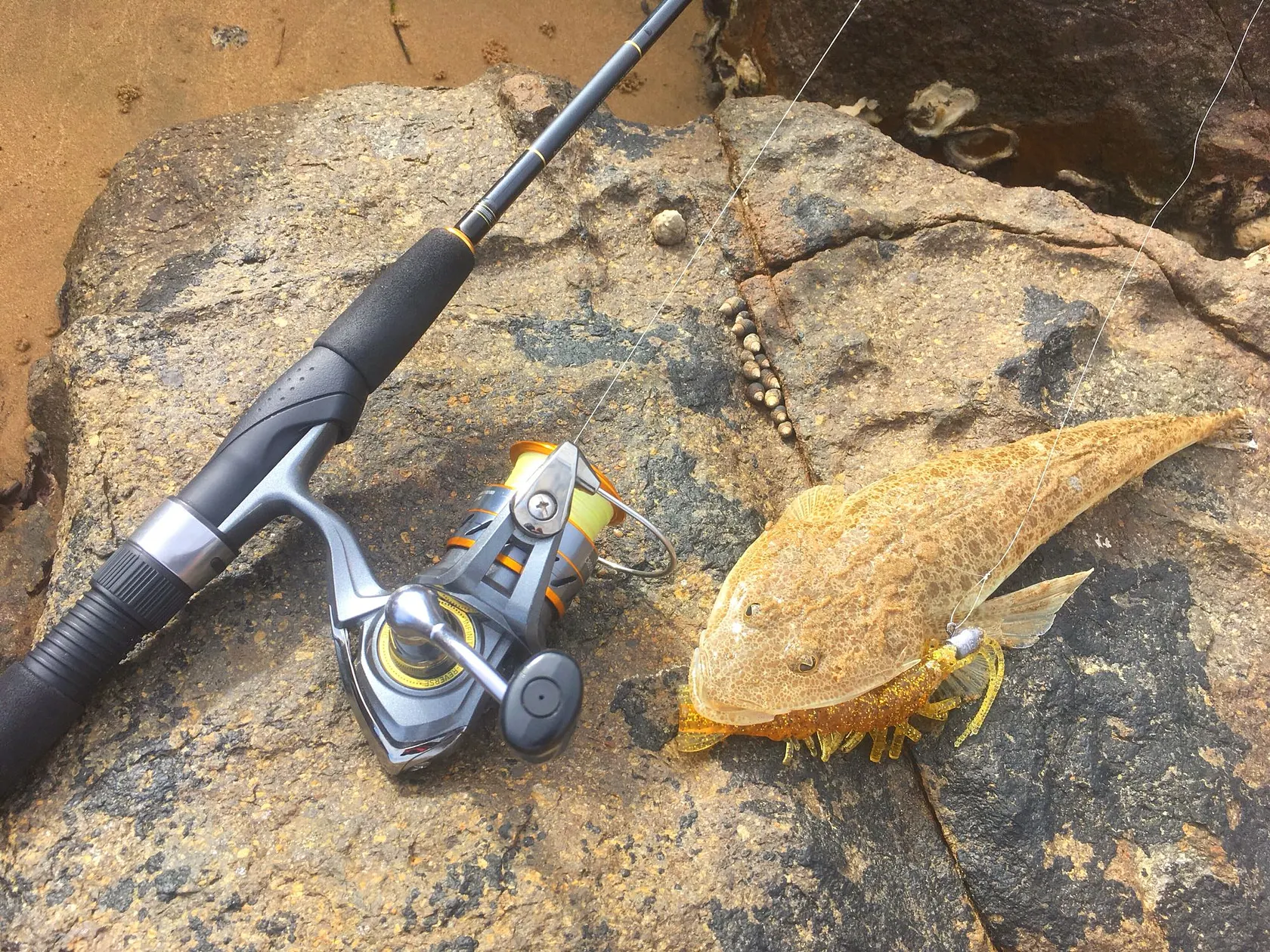 Post image from twebber7903