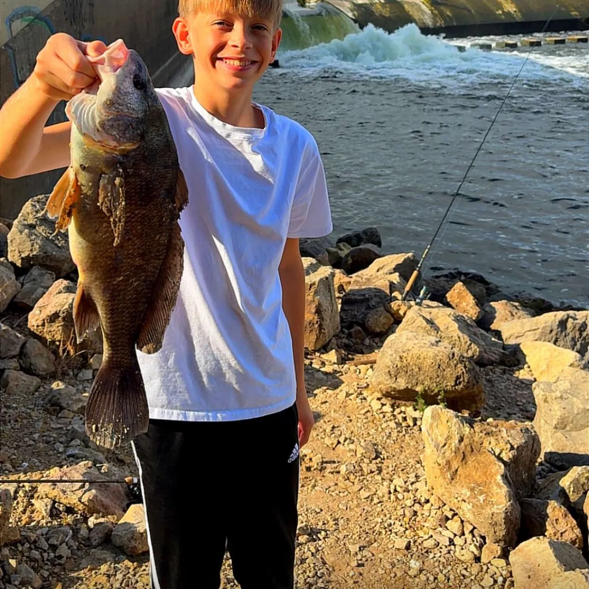 Freshwater drum caught on Fishbrain