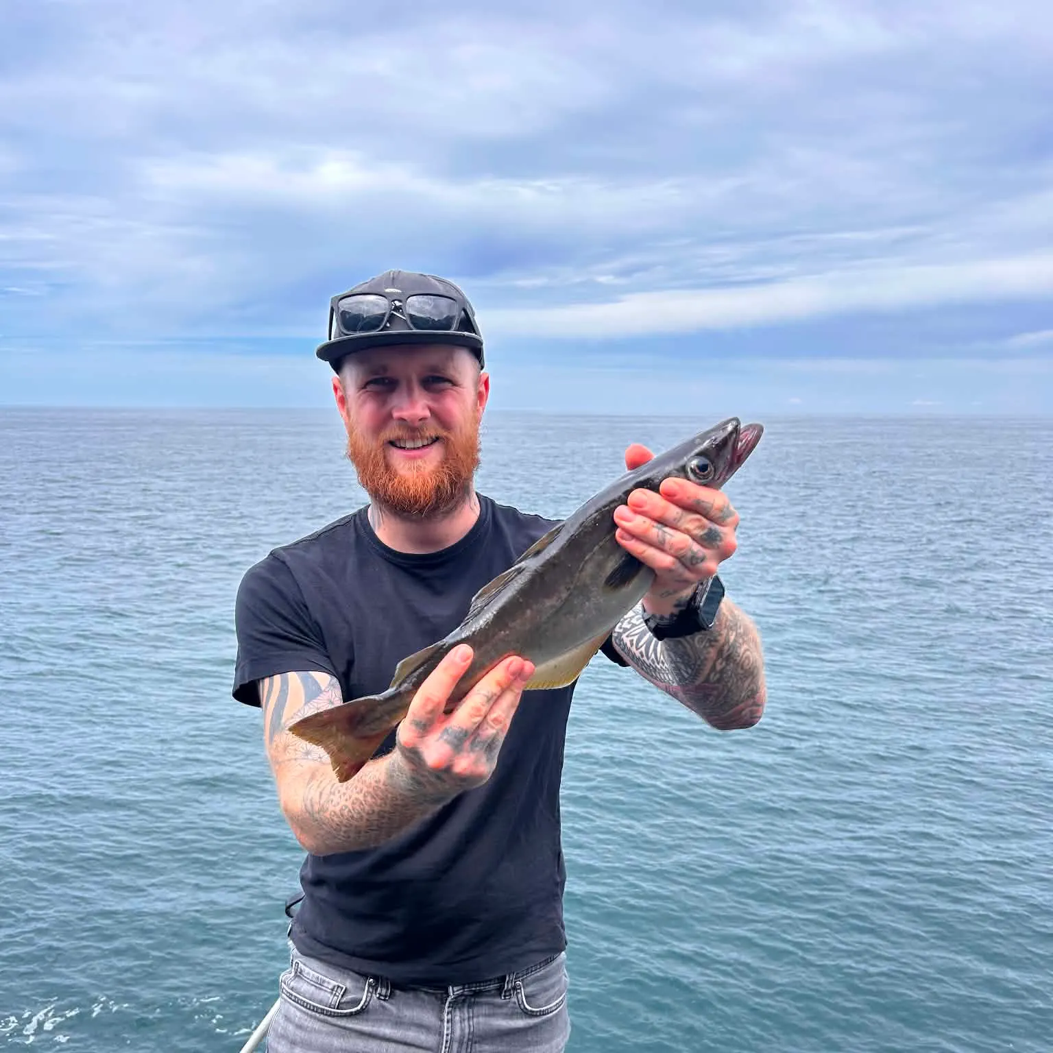 The most recent Alaska pollock catches on Fishbrain