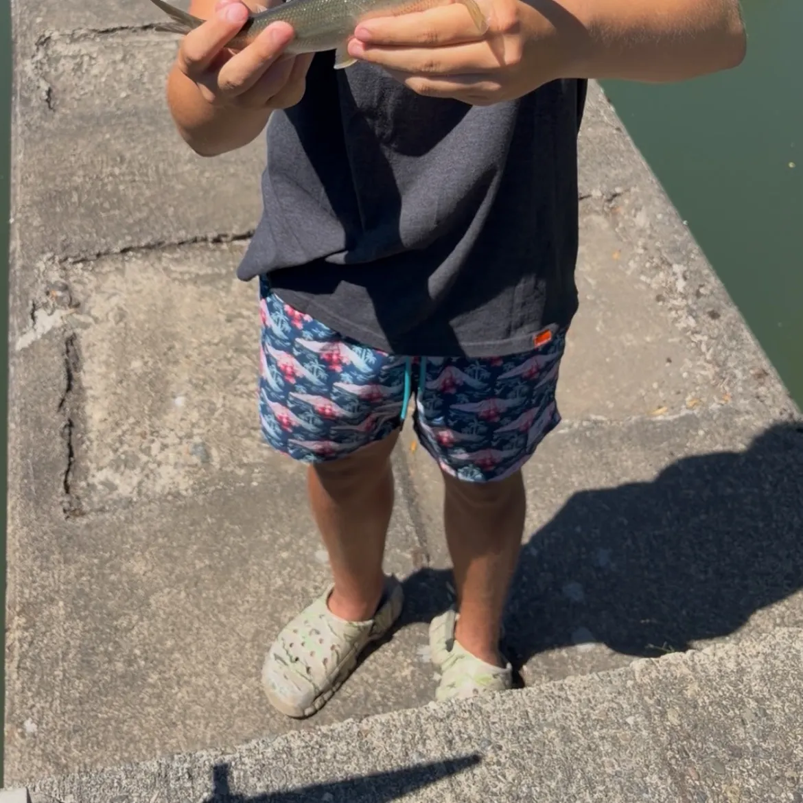 The most recent Peamouth catches on Fishbrain