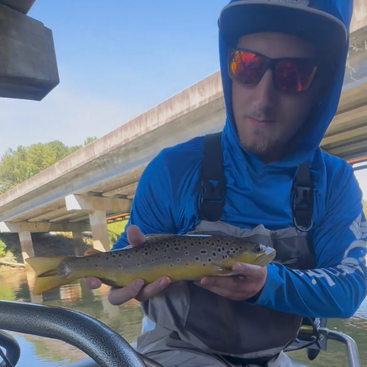 Brown trout caught on Fishbrain