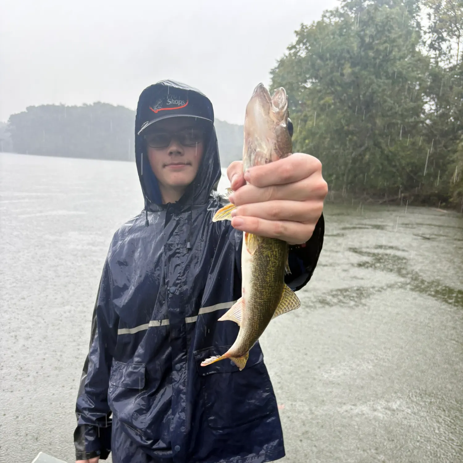 Saugeye caught on Fishbrain