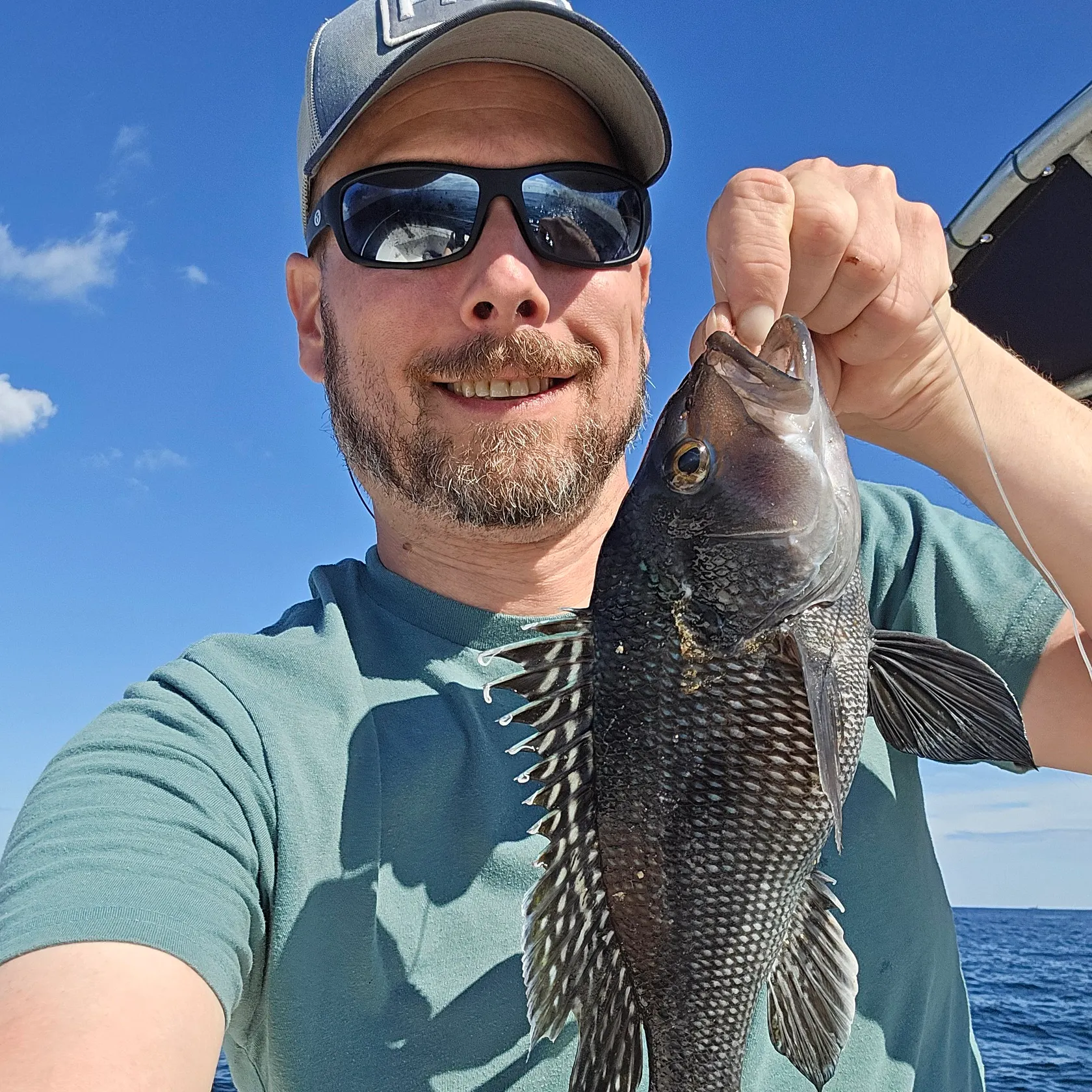 Black sea bass caught on Fishbrain