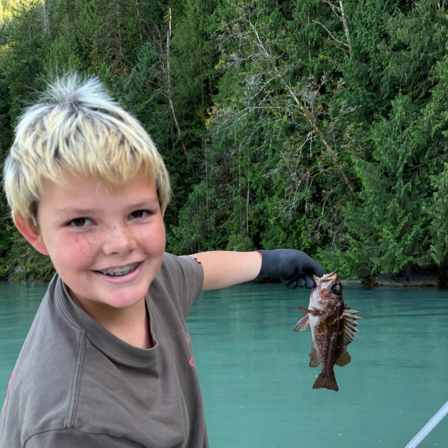 Blue rockfish caught on Fishbrain