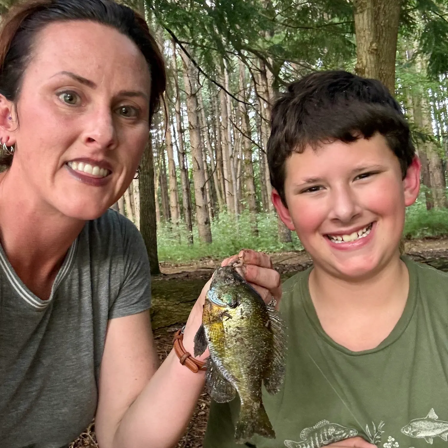 Bluegill caught on Fishbrain