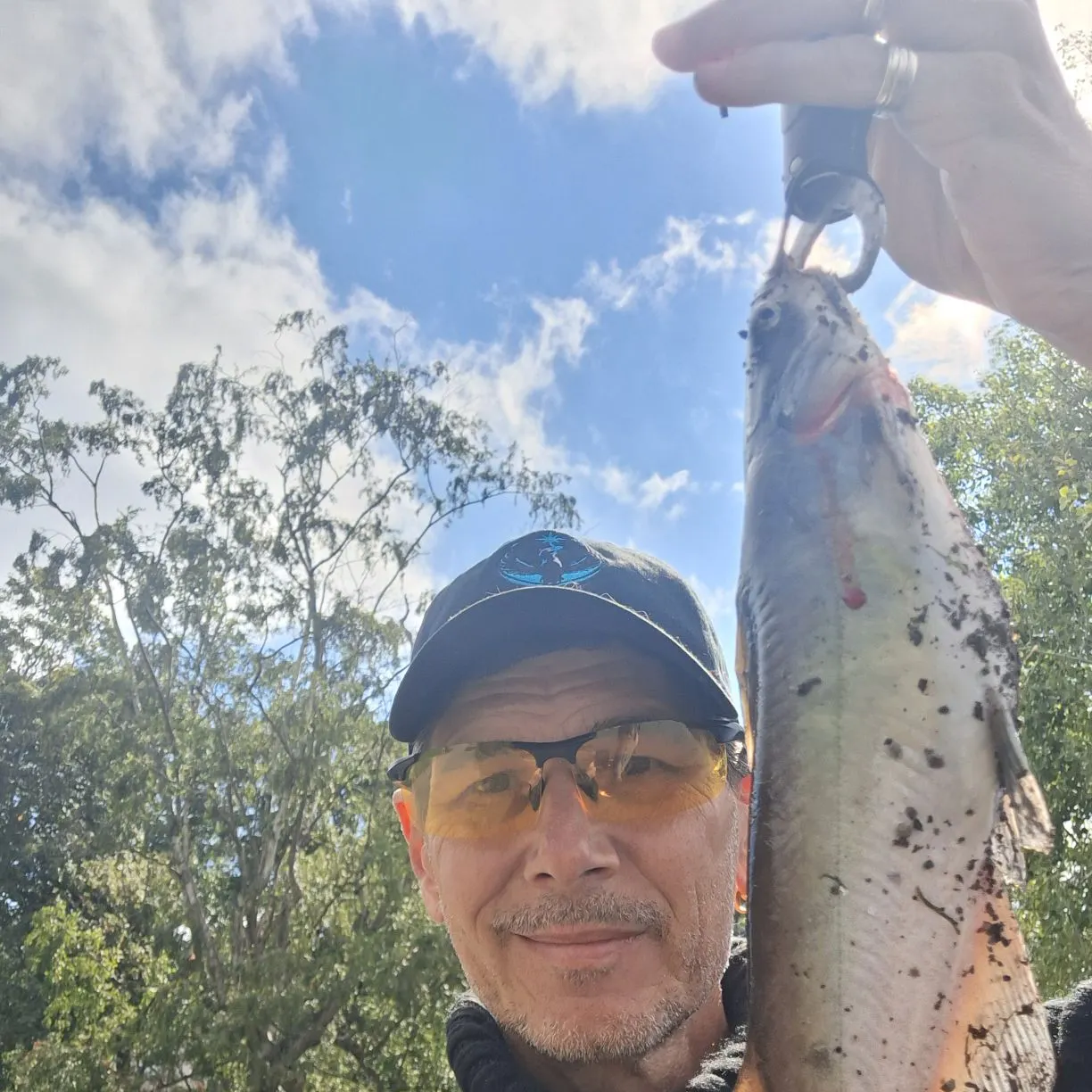 Channel catfish caught on Fishbrain