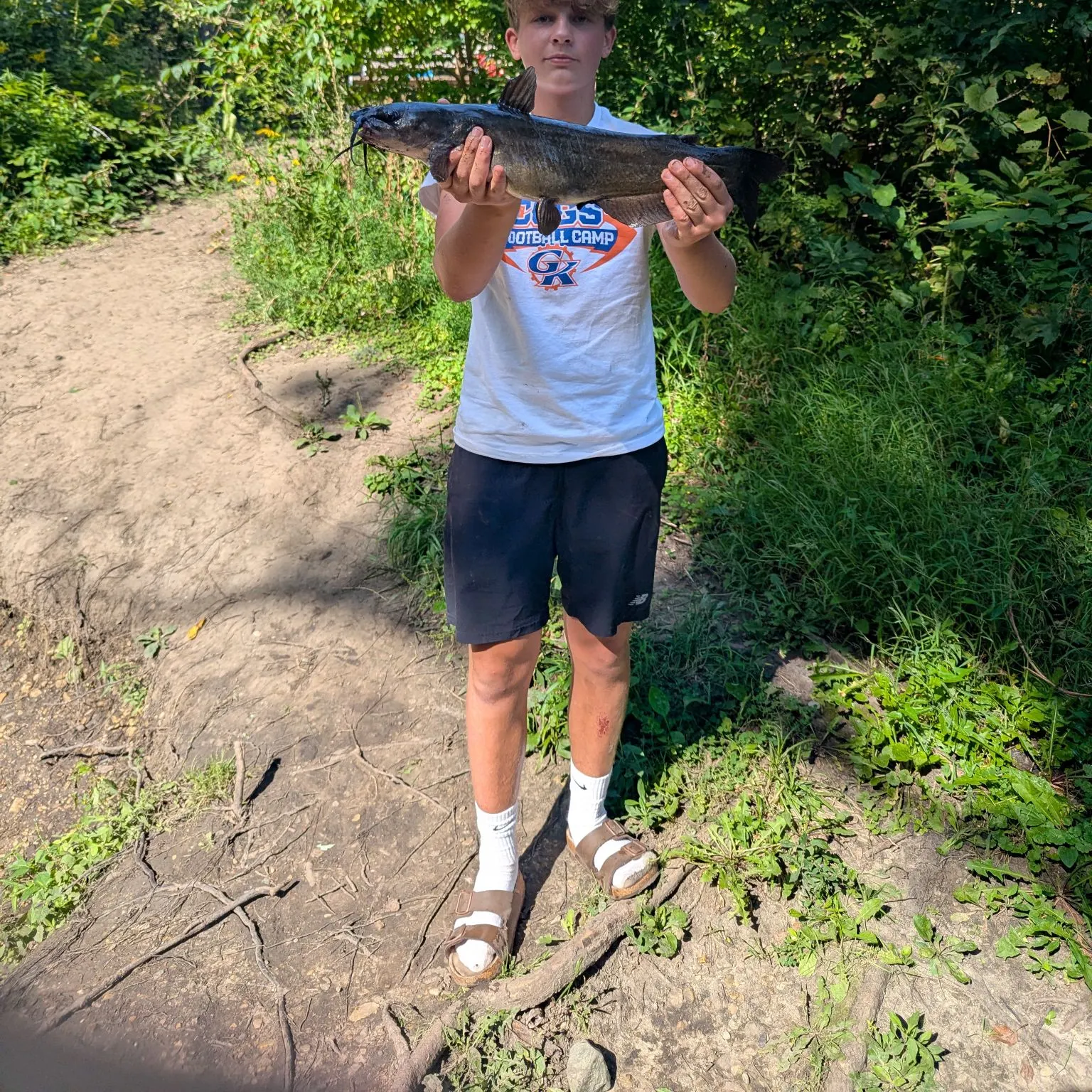 Channel catfish caught on Fishbrain