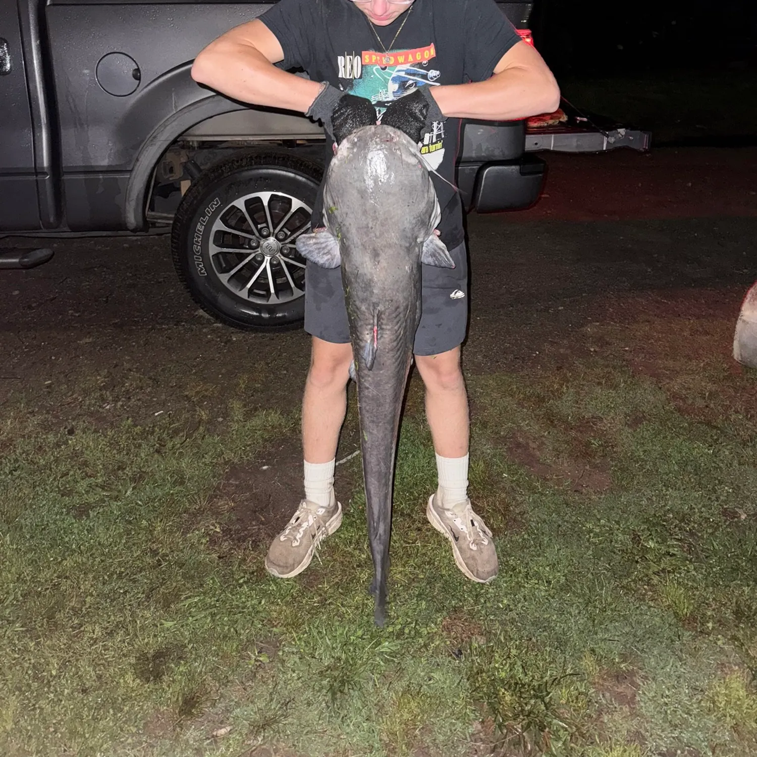 Fish caught on Fishbrain