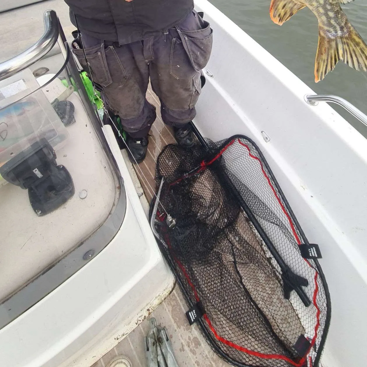 angler catch