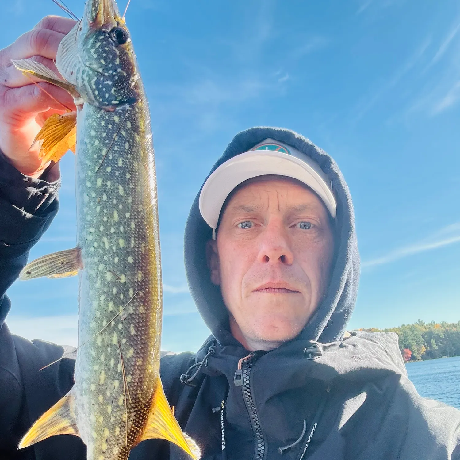 Northern pike caught on Fishbrain
