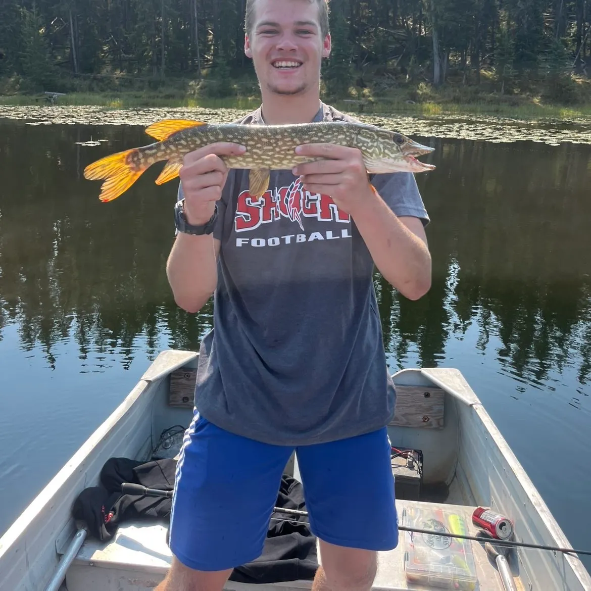 Northern pike caught on Fishbrain