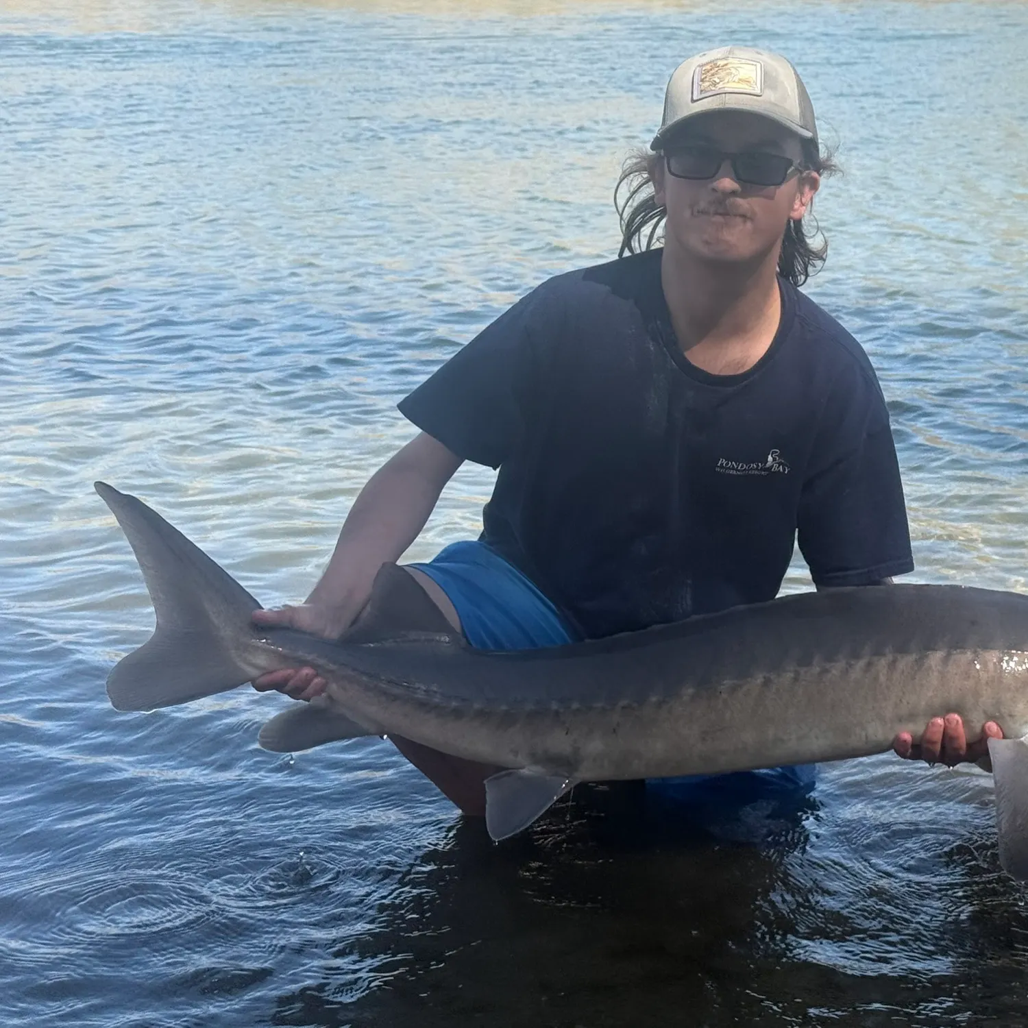 The most recent Lake sturgeon catches on Fishbrain