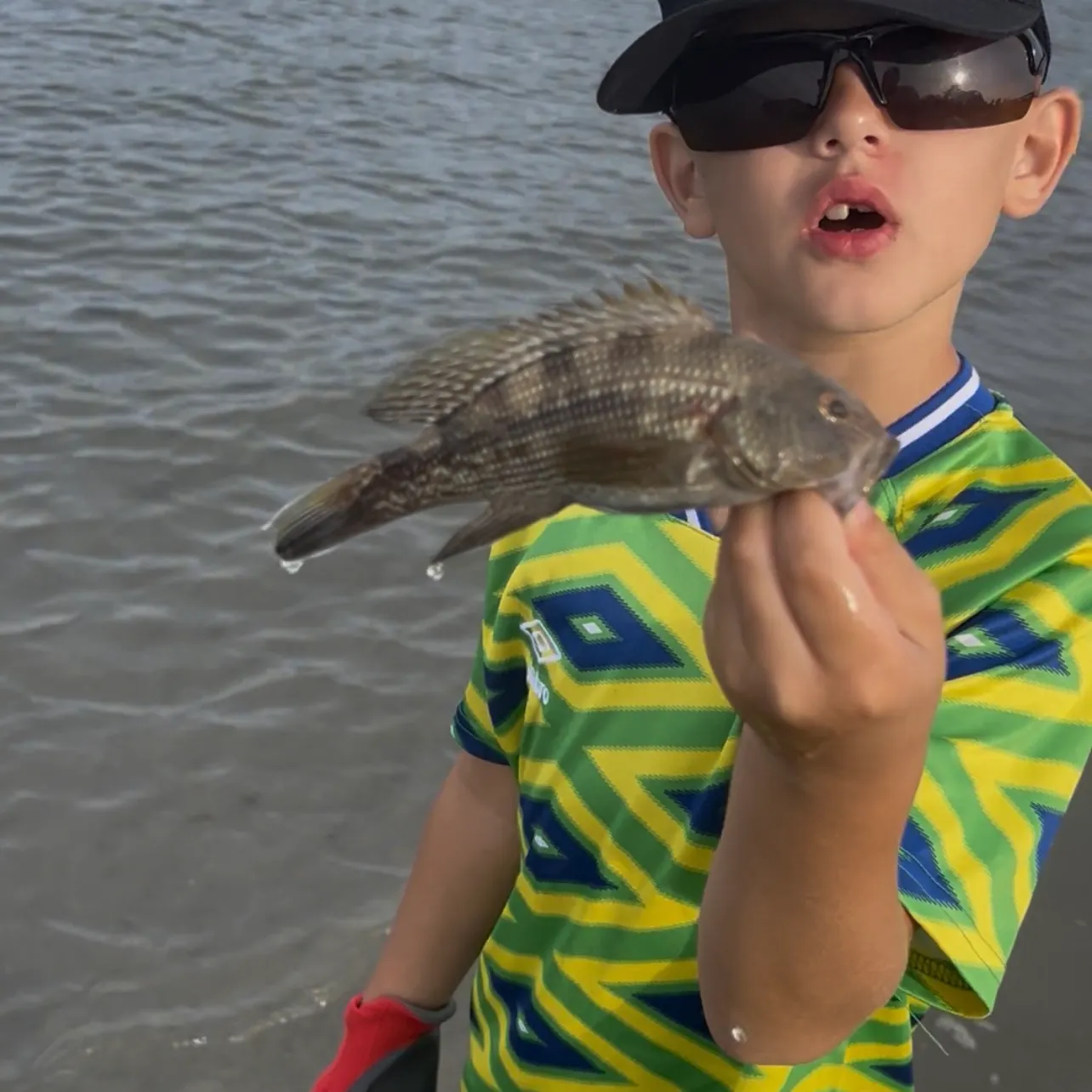 Black sea bass caught on Fishbrain