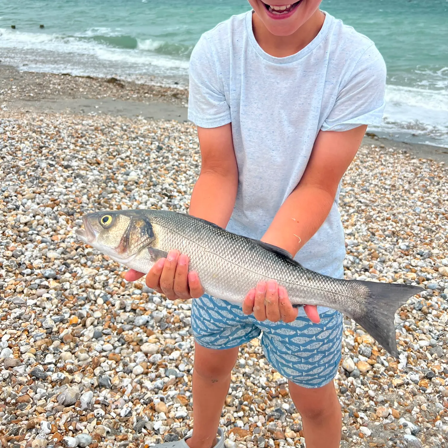 European seabass caught on Fishbrain