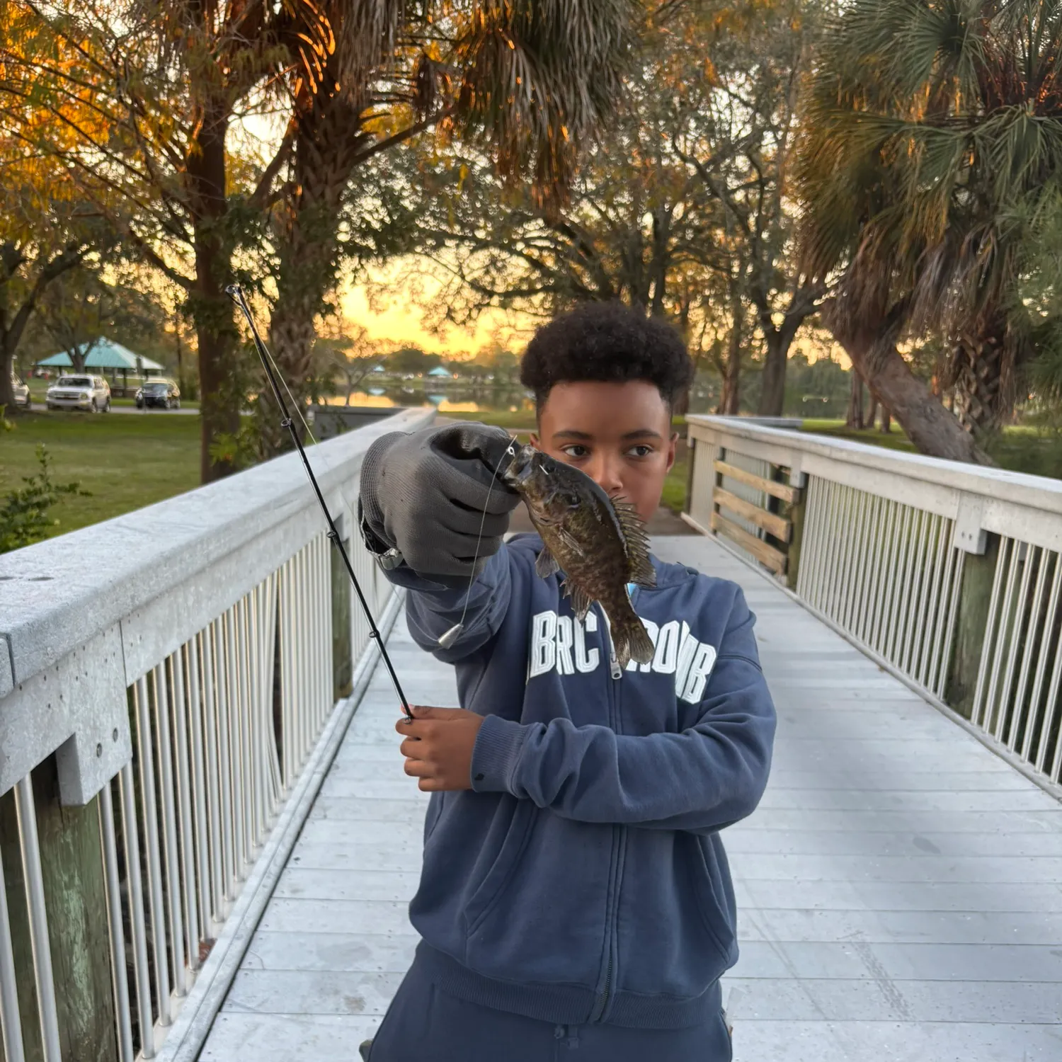 The most recent Warmouth catches on Fishbrain