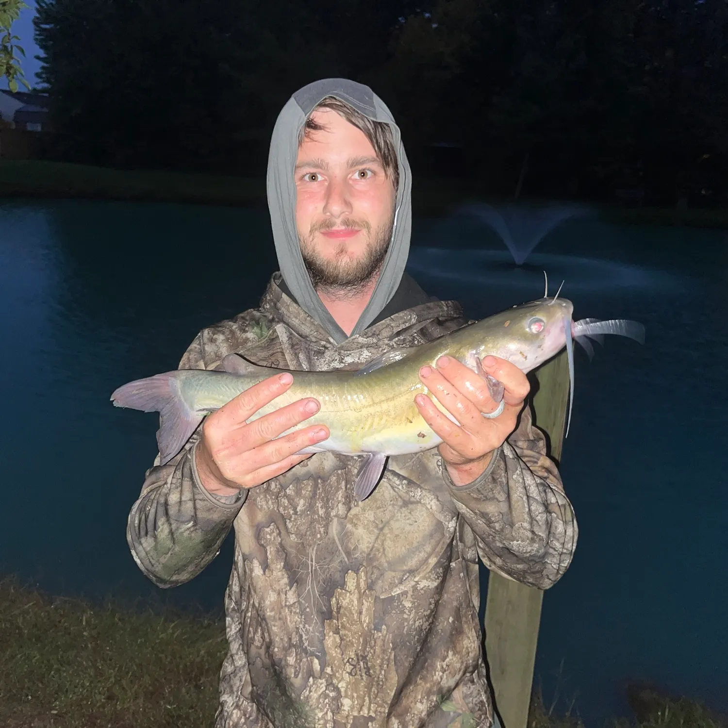 Channel catfish caught on Fishbrain