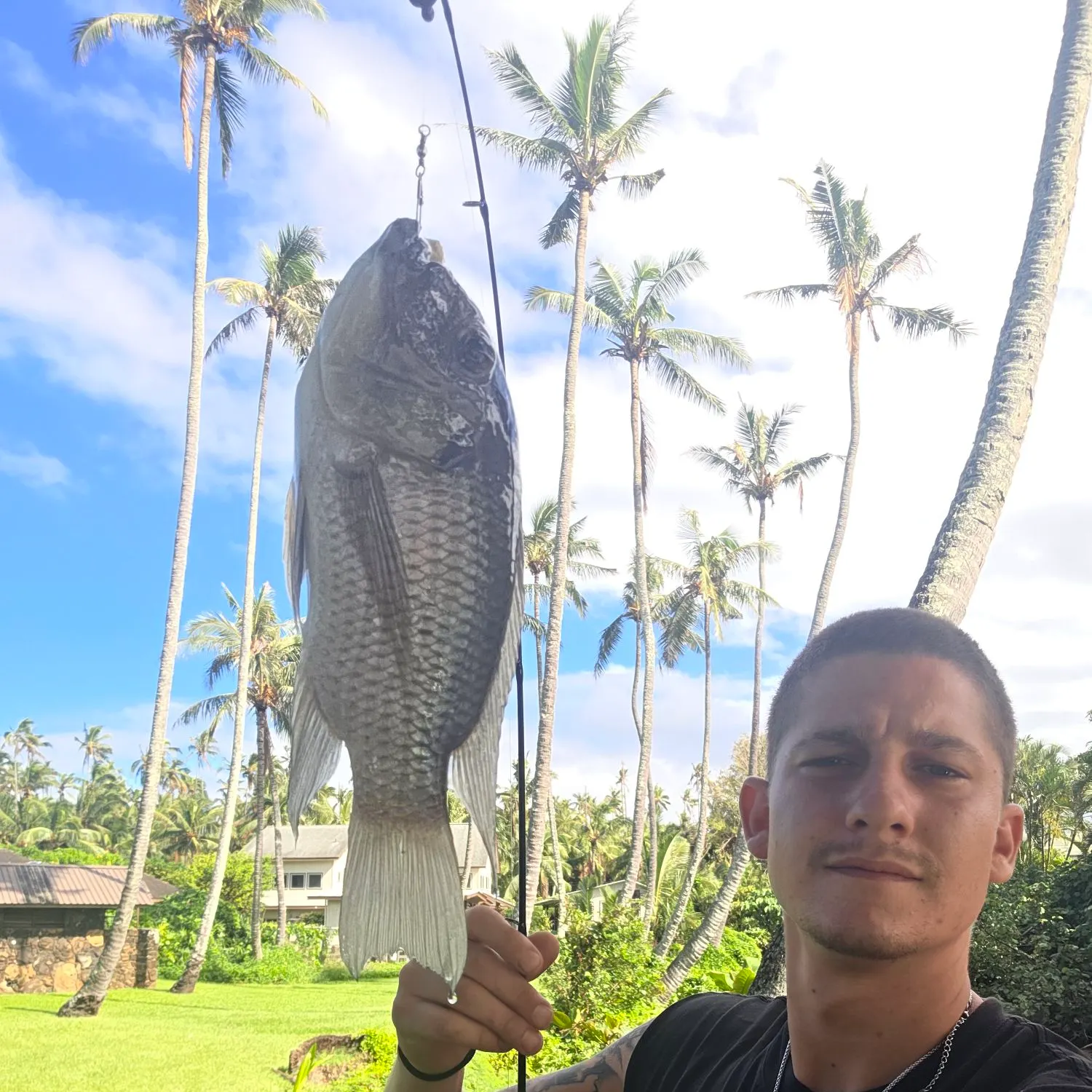 Nile tilapia caught on Fishbrain