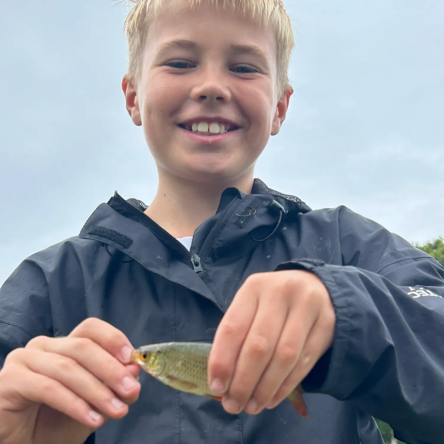 Common roach caught on Fishbrain