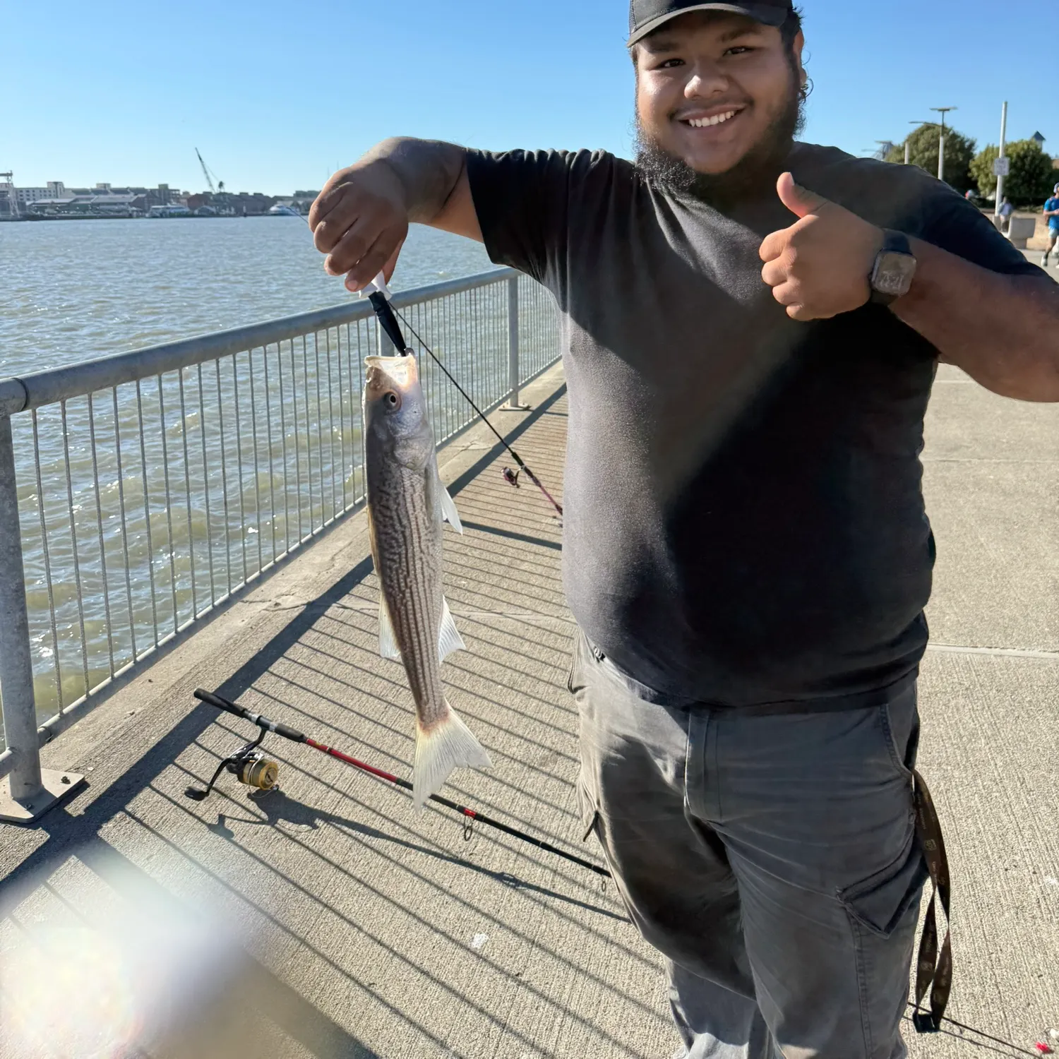 Striped bass caught on Fishbrain