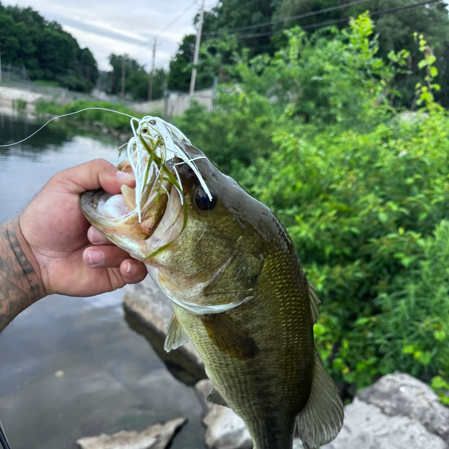 catch