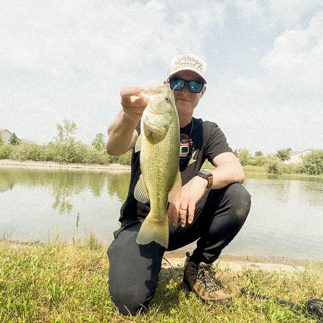 Largemouth bass caught on Fishbrain
