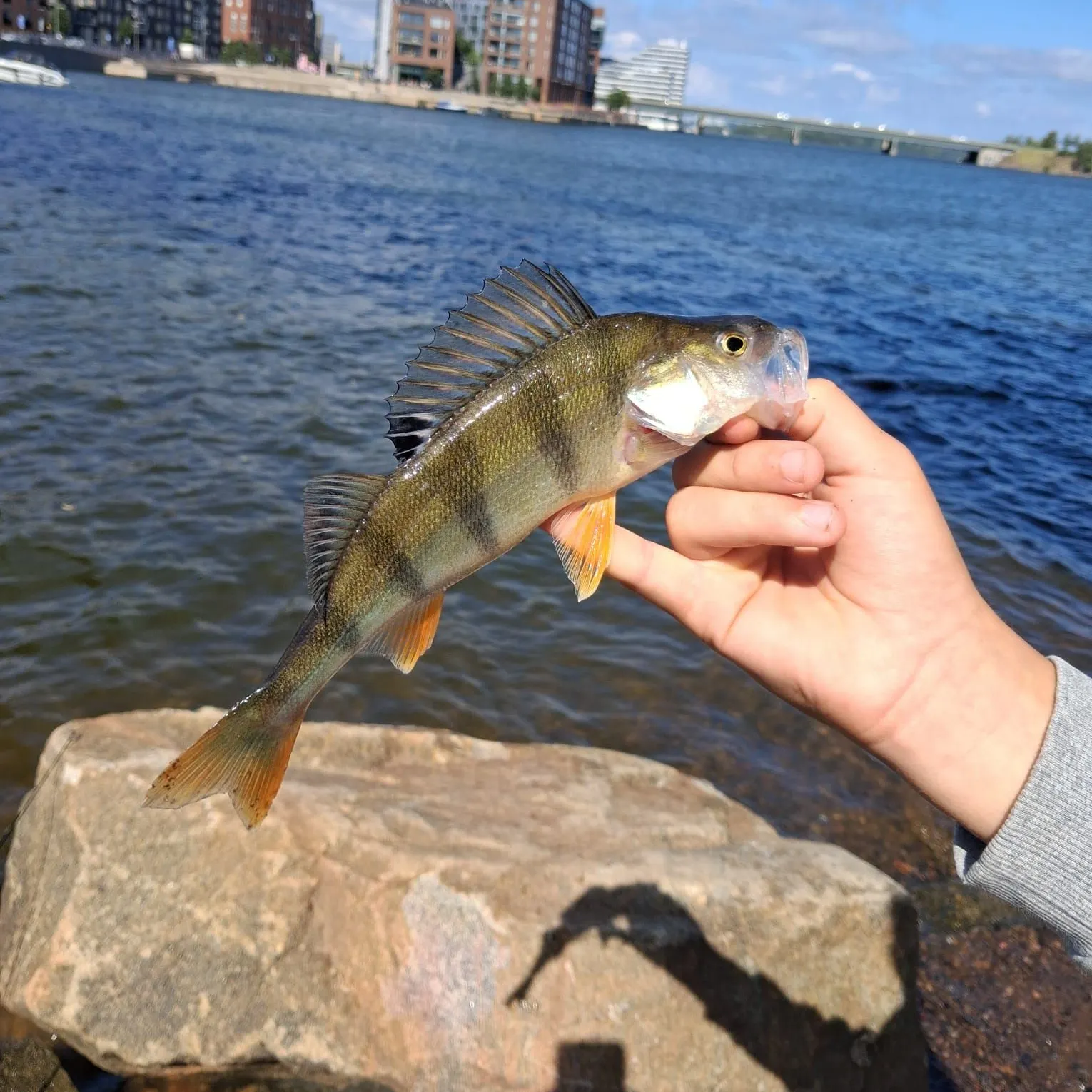 catch