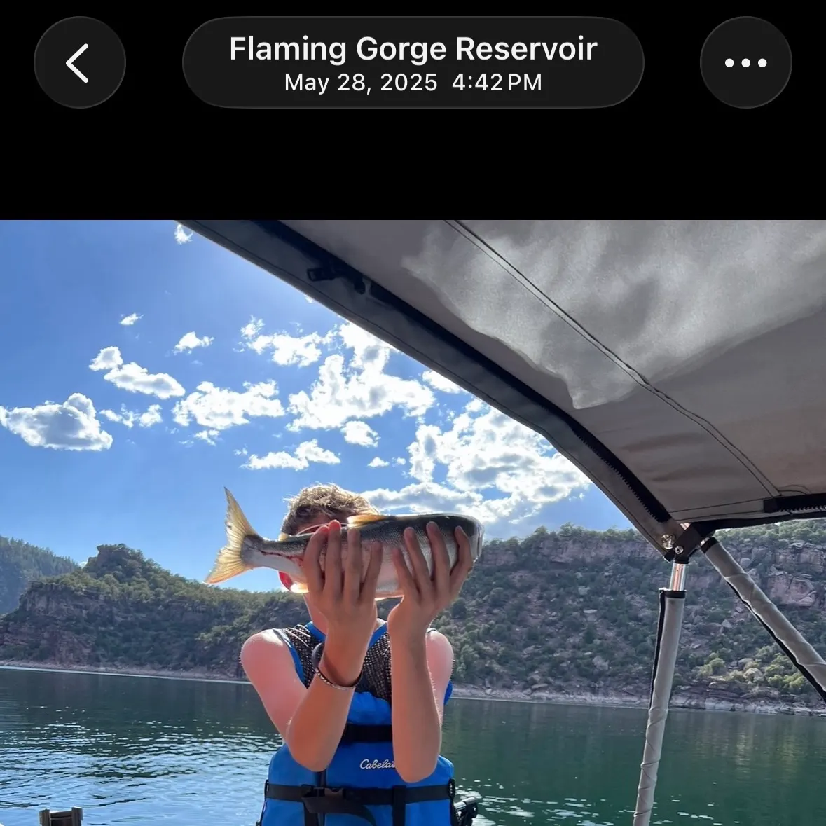 Kokanee salmon caught on Fishbrain
