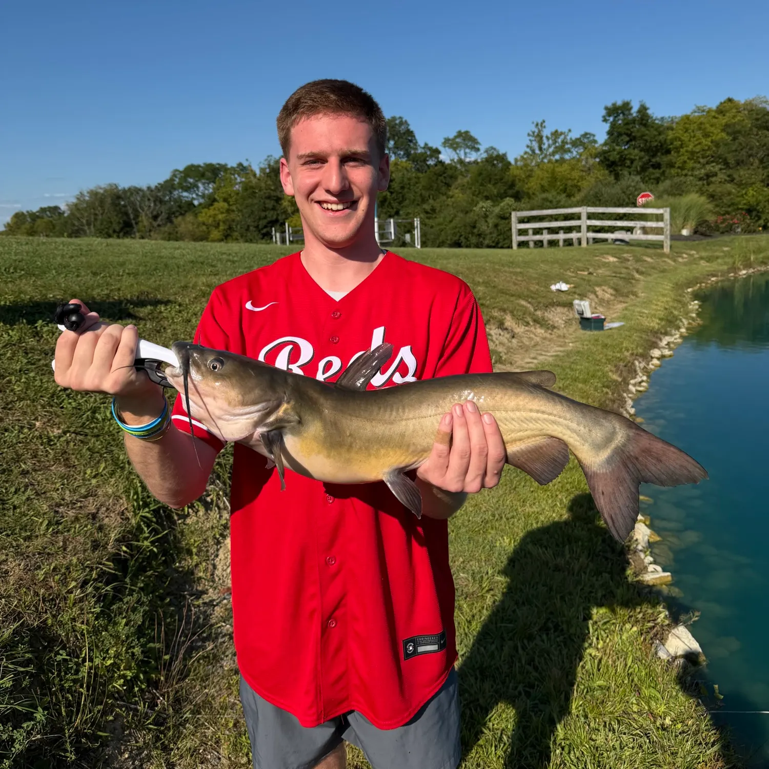 Channel catfish caught on Fishbrain