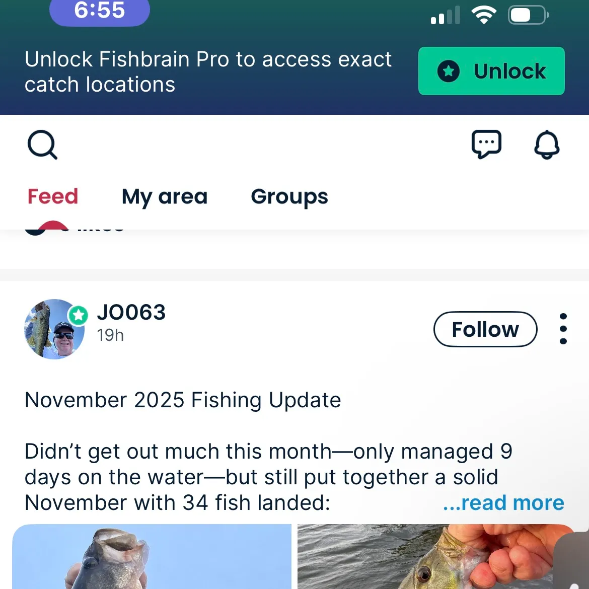 The most recent Whitecheek monocle bream catches on Fishbrain