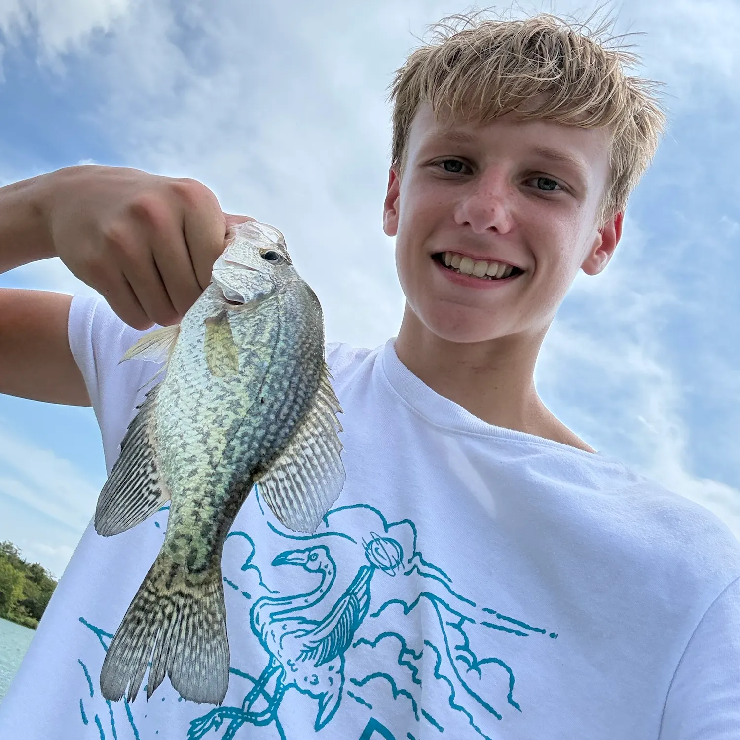 Black crappie caught on Fishbrain