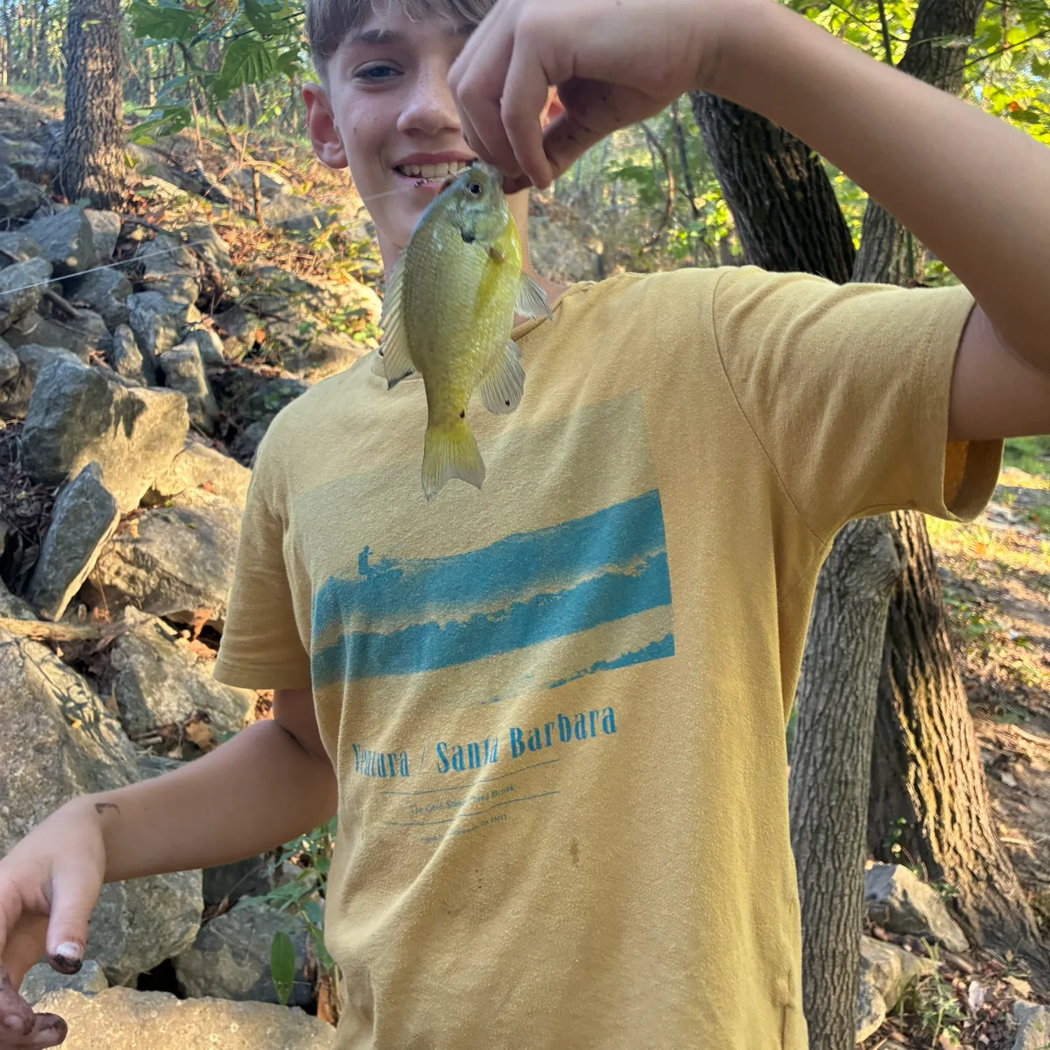 Green sunfish caught on Fishbrain
