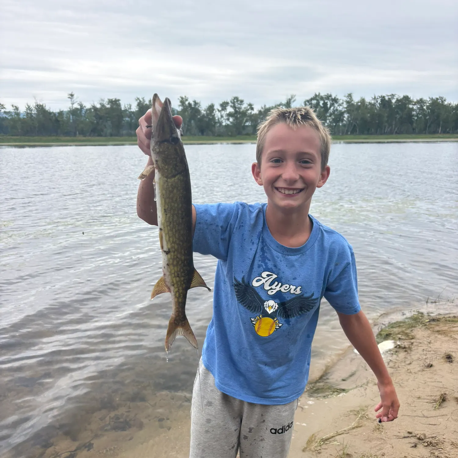 Northern pike caught on Fishbrain