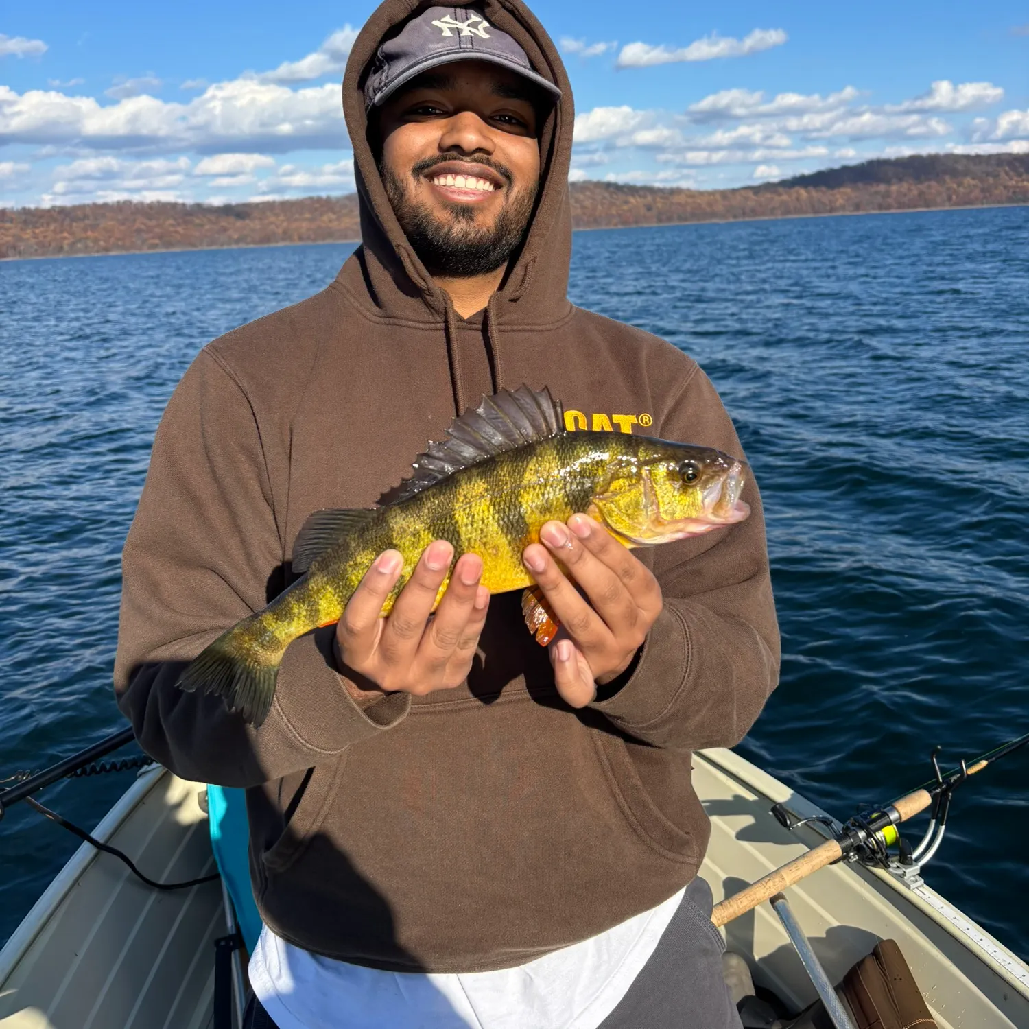 The most recent Yellow perch catches on Fishbrain