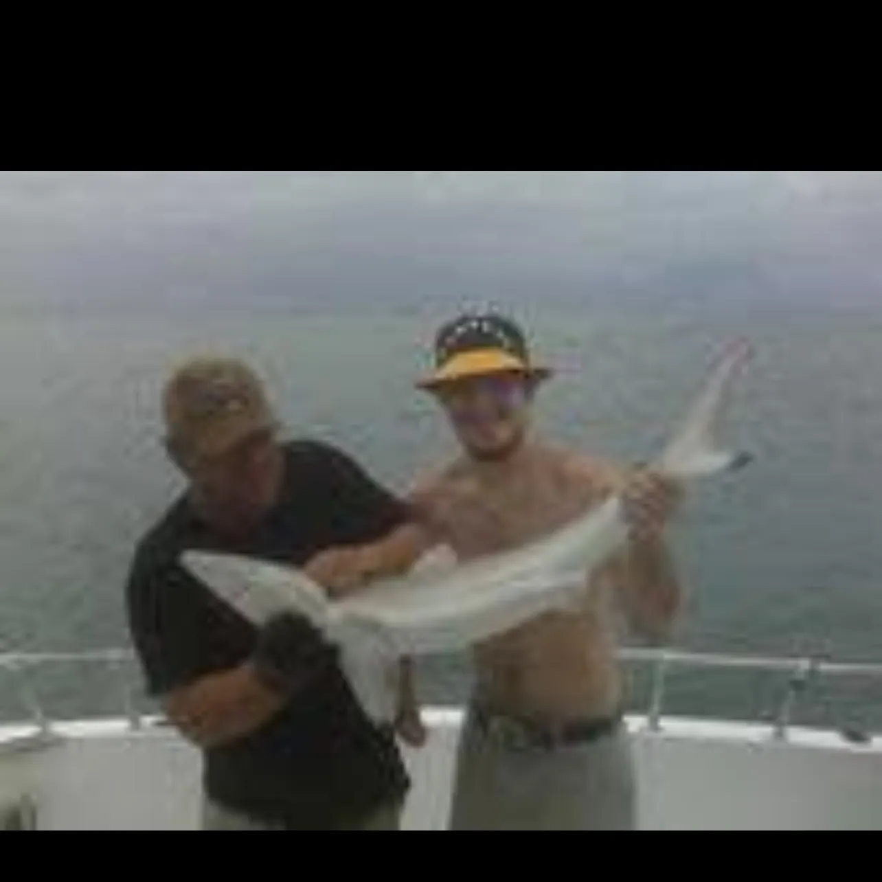 The most recent Spinner shark catches on Fishbrain