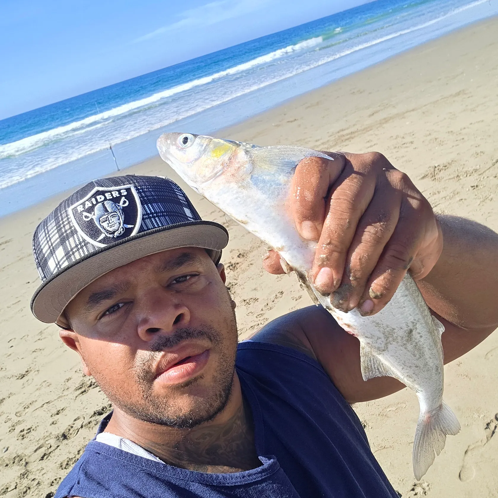 Jack smelt caught on Fishbrain