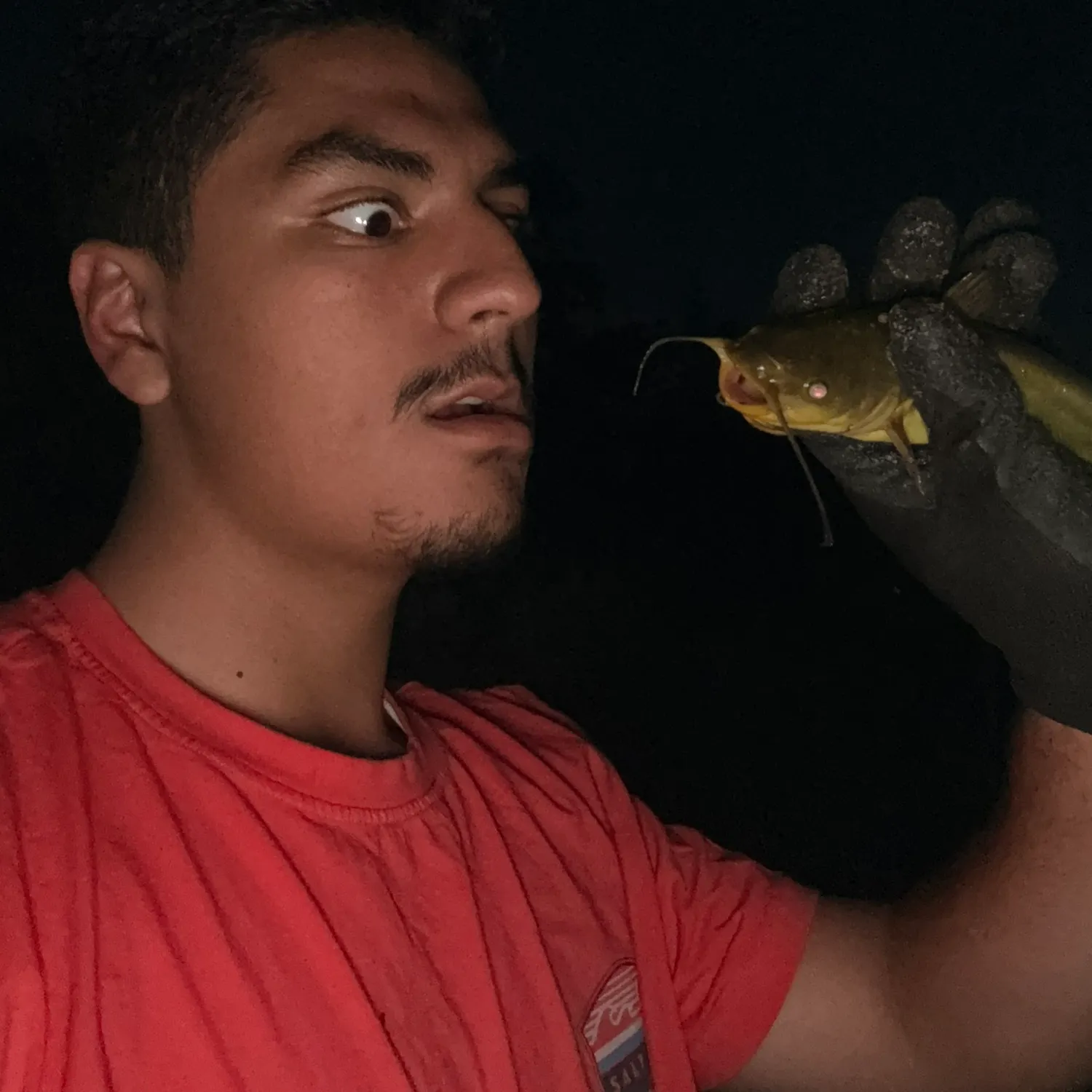 Yellow bullhead caught on Fishbrain